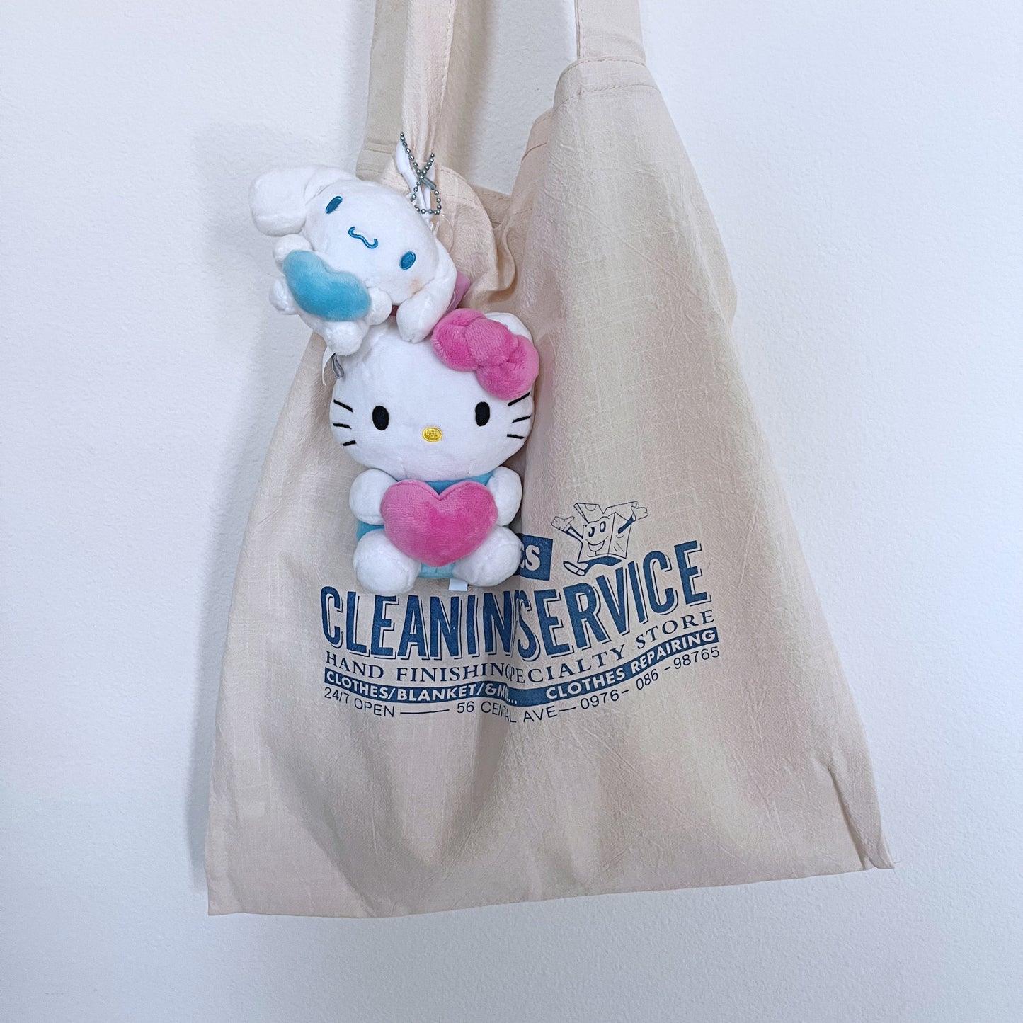 Cleaning service eco bag