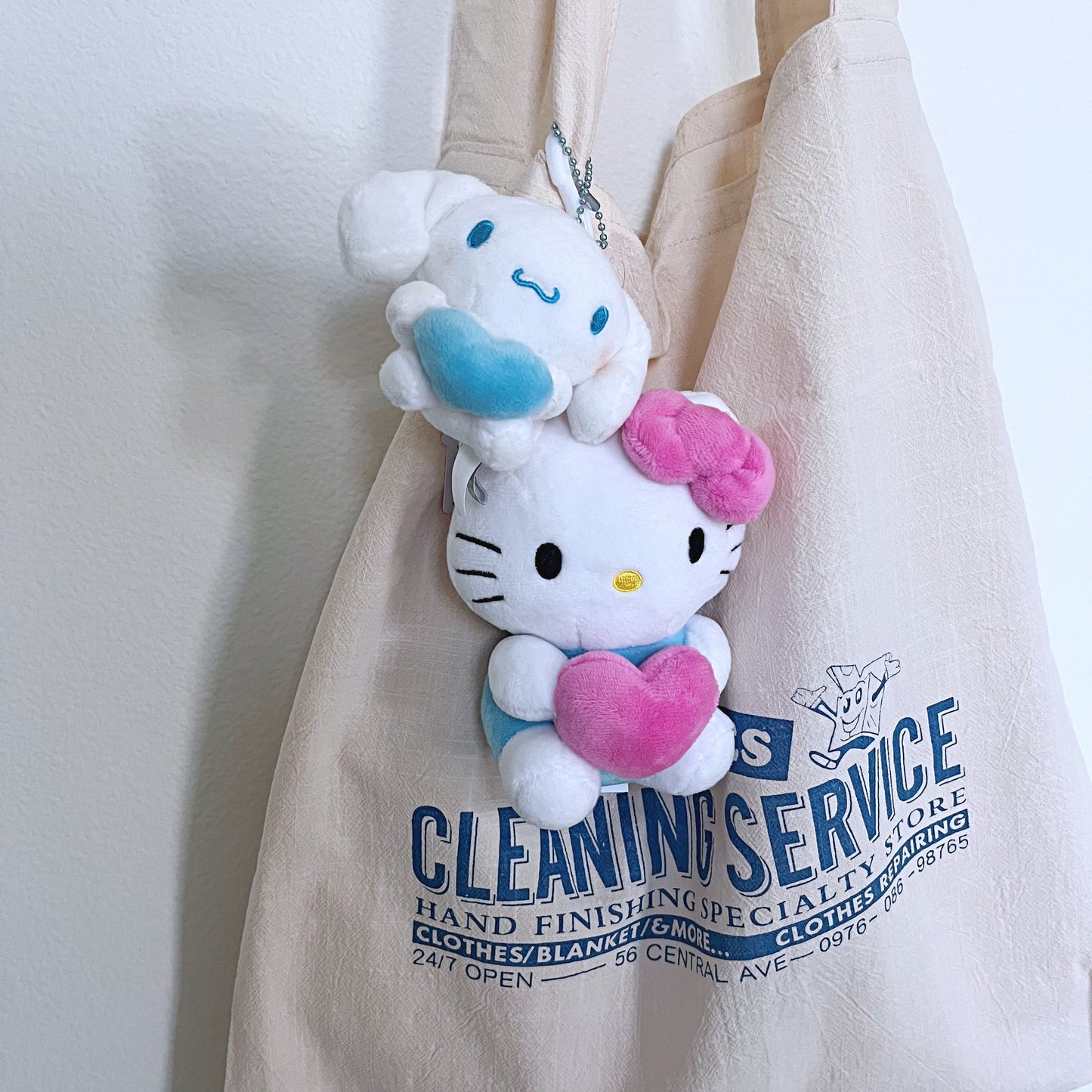 Cleaning service eco bag